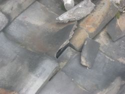 20100201c.jpg